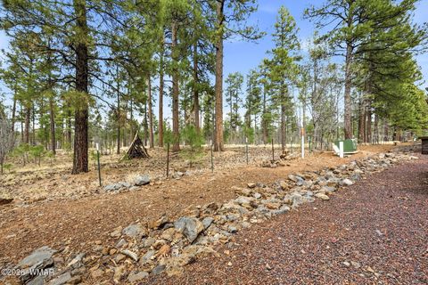 Tiny photo for 4172 Stone Pine Drive, Pinetop, AZ 85935 (MLS # 260088)