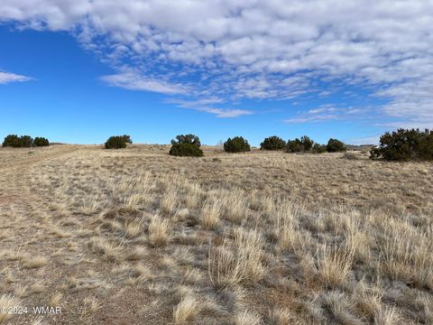 Tiny photo for TBD Indian Village Rd, Taylor, AZ 85939 (MLS # 253697)