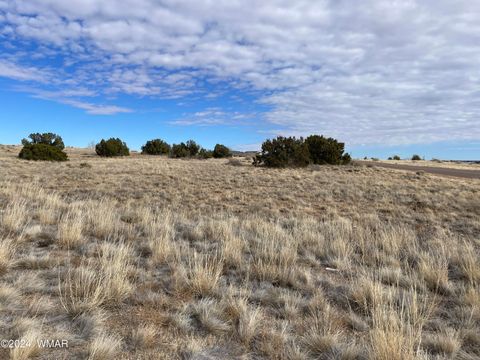 Photo of TBD Indian Village Rd, Taylor, AZ 85939 (MLS # 253697)