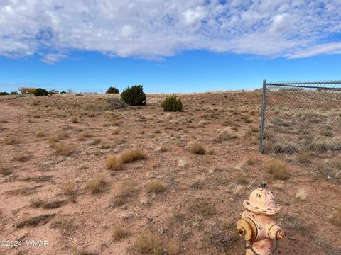 Tiny photo for TBD Indian Village Rd, Taylor, AZ 85939 (MLS # 253697)