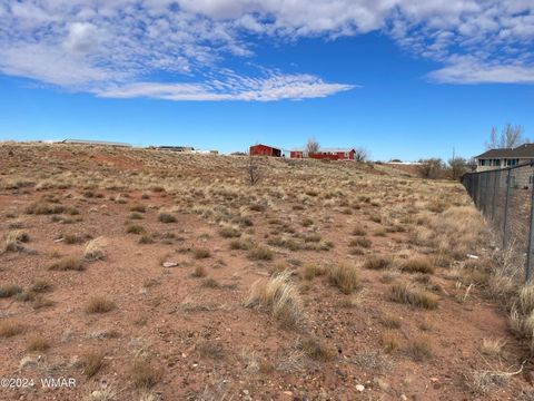 Tiny photo for TBD Indian Village Rd, Taylor, AZ 85939 (MLS # 253697)