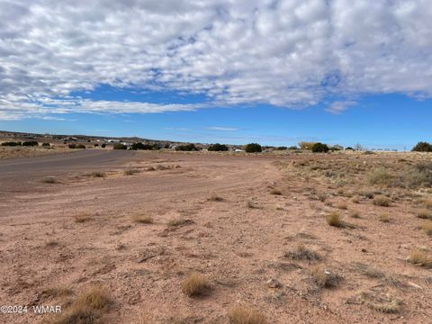 Tiny photo for TBD Indian Village Rd, Taylor, AZ 85939 (MLS # 253697)