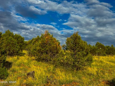 Tiny photo for TBD Flake RD 5.08 Acres, Aripine, AZ 85933 (MLS # 257167)