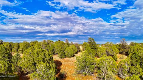Tiny photo for TBD Flake RD 5.08 Acres, Aripine, AZ 85933 (MLS # 257167)