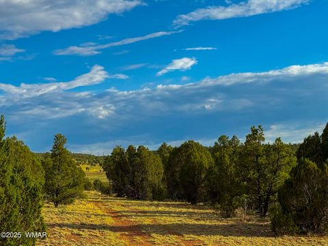 Tiny photo for TBD Flake RD 5.08 Acres, Aripine, AZ 85933 (MLS # 257167)