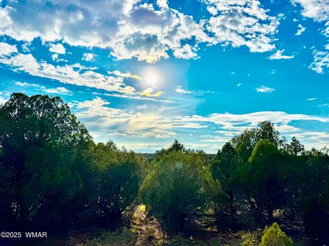 Tiny photo for TBD Flake RD 5.08 Acres, Aripine, AZ 85933 (MLS # 257167)