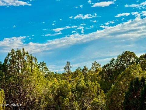Tiny photo for TBD Flake RD 5.08 Acres, Aripine, AZ 85933 (MLS # 257167)