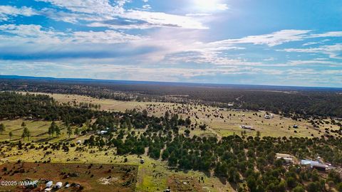 Tiny photo for TBD Flake RD 5.08 Acres, Aripine, AZ 85933 (MLS # 257167)