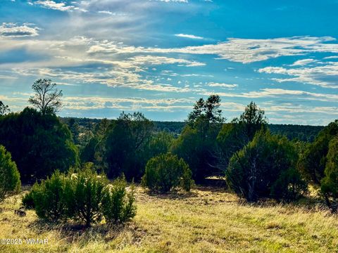 Tiny photo for TBD Flake RD 5.08 Acres, Aripine, AZ 85933 (MLS # 257167)