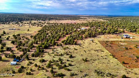 Tiny photo for TBD Flake RD 5.08 Acres, Aripine, AZ 85933 (MLS # 257167)