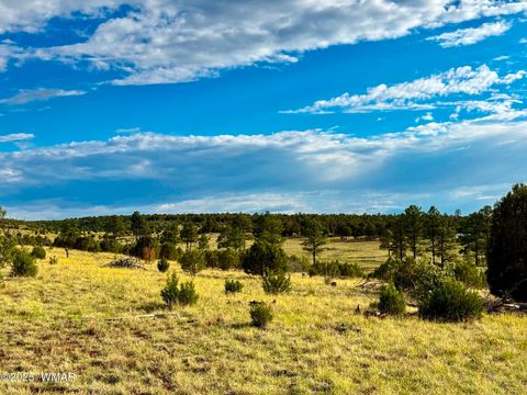Tiny photo for TBD Flake RD 5.08 Acres, Aripine, AZ 85933 (MLS # 257167)