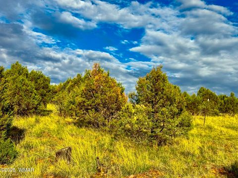 Tiny photo for TBD Flake RD 5.08 Acres, Aripine, AZ 85933 (MLS # 257167)