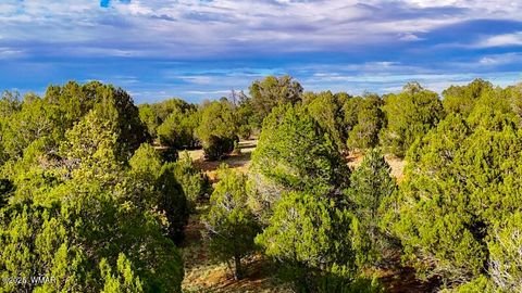 Tiny photo for TBD Flake RD 5.08 Acres, Aripine, AZ 85933 (MLS # 257167)