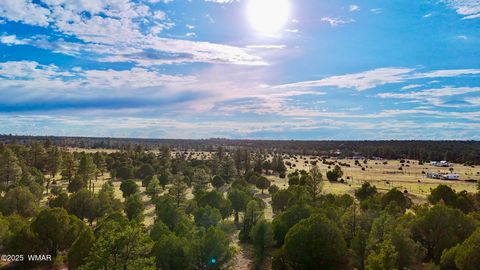 Tiny photo for TBD Flake RD 5.08 Acres, Aripine, AZ 85933 (MLS # 257167)