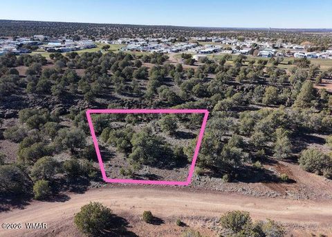 Tiny photo for 1836 Rocky Bottom Place, Show Low, AZ 85901 (MLS # 259836)