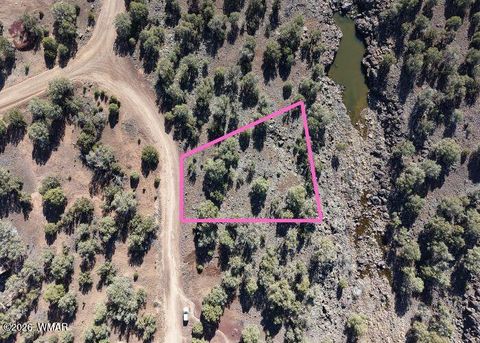 Tiny photo for 1836 Rocky Bottom Place, Show Low, AZ 85901 (MLS # 259836)