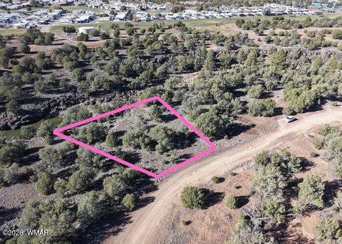 Tiny photo for 1836 Rocky Bottom Place, Show Low, AZ 85901 (MLS # 259836)
