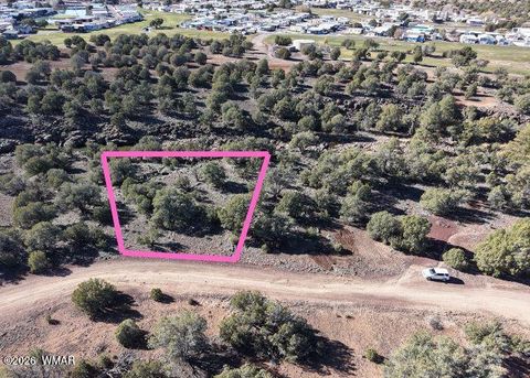 Tiny photo for 1836 Rocky Bottom Place, Show Low, AZ 85901 (MLS # 259836)