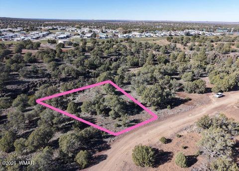Tiny photo for 1836 Rocky Bottom Place, Show Low, AZ 85901 (MLS # 259836)