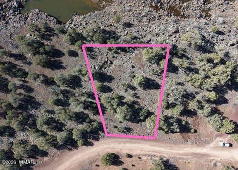 Tiny photo for 1836 Rocky Bottom Place, Show Low, AZ 85901 (MLS # 259836)