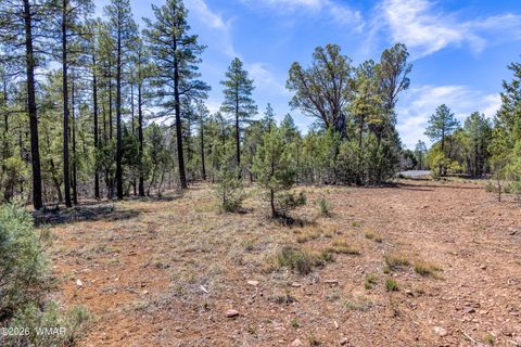 Tiny photo for 1651 S Falling Leaf Road, Show Low, AZ 85901 (MLS # 260464)