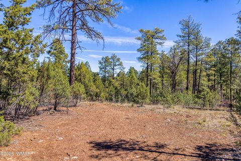 Tiny photo for 1651 S Falling Leaf Road, Show Low, AZ 85901 (MLS # 260464)