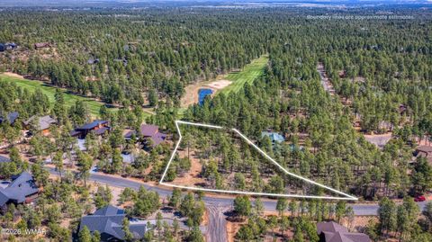 Photo of 1651 S Falling Leaf Road, Show Low, AZ 85901 (MLS # 260464)