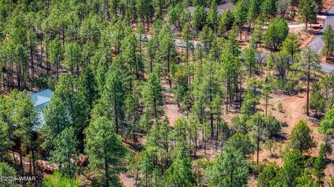 Tiny photo for 1651 S Falling Leaf Road, Show Low, AZ 85901 (MLS # 260464)
