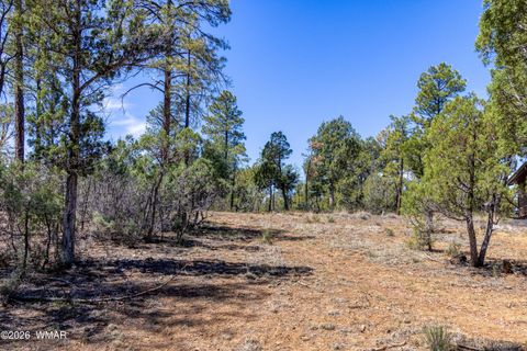 Tiny photo for 1651 S Falling Leaf Road, Show Low, AZ 85901 (MLS # 260464)