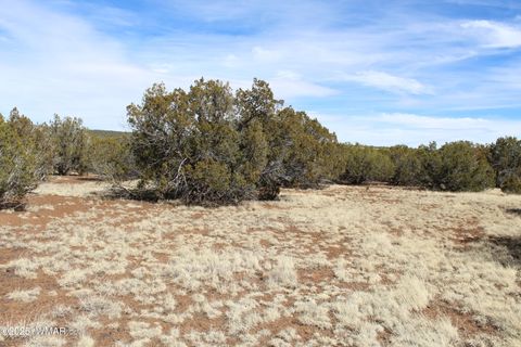 Tiny photo for Lot 092C County Road 8238, Concho, AZ 85924 (MLS # 255049)