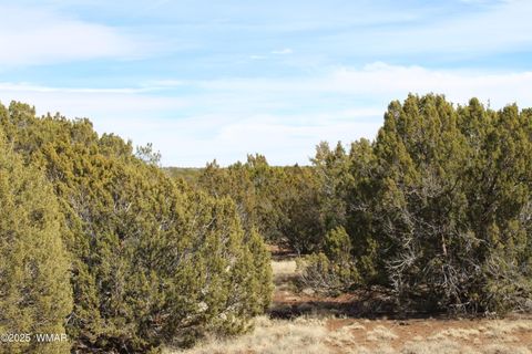 Tiny photo for Lot 092C County Road 8238, Concho, AZ 85924 (MLS # 255049)