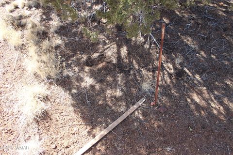 Tiny photo for Lot 092C County Road 8238, Concho, AZ 85924 (MLS # 255049)