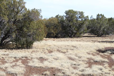 Tiny photo for Lot 092C County Road 8238, Concho, AZ 85924 (MLS # 255049)