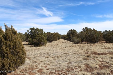 Photo of Lot 092C County Road 8238, Concho, AZ 85924 (MLS # 255049)