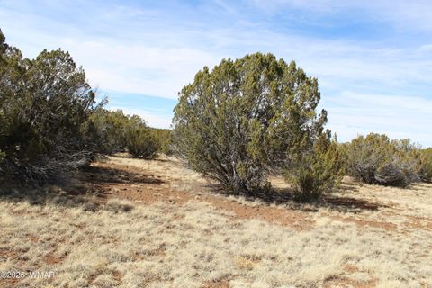 Tiny photo for Lot 092C County Road 8238, Concho, AZ 85924 (MLS # 255049)