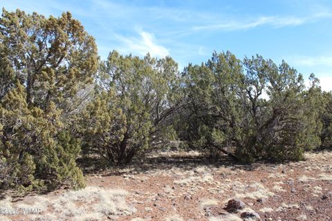 Tiny photo for Lot 092C County Road 8238, Concho, AZ 85924 (MLS # 255049)