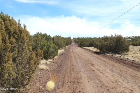 Tiny photo for Lot 092C County Road 8238, Concho, AZ 85924 (MLS # 255049)