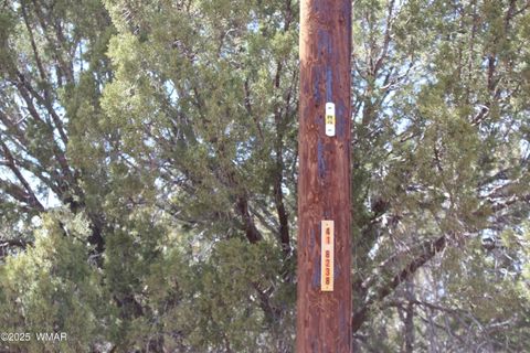 Tiny photo for Lot 092C County Road 8238, Concho, AZ 85924 (MLS # 255049)
