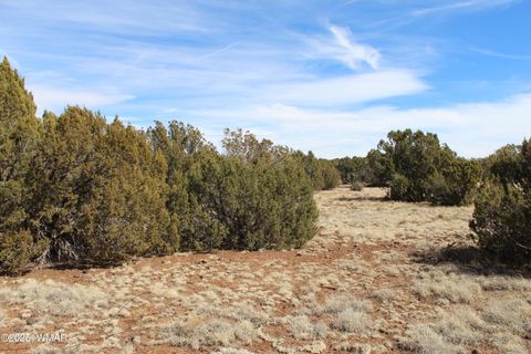 Tiny photo for Lot 092C County Road 8238, Concho, AZ 85924 (MLS # 255049)