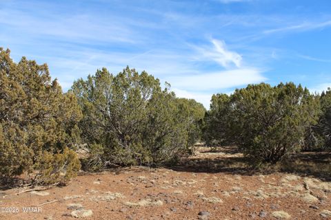 Tiny photo for Lot 092C County Road 8238, Concho, AZ 85924 (MLS # 255049)
