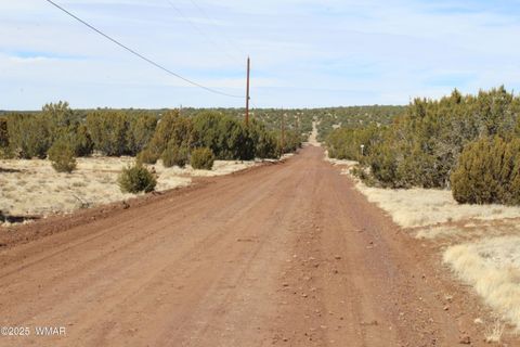 Tiny photo for Lot 092C County Road 8238, Concho, AZ 85924 (MLS # 255049)