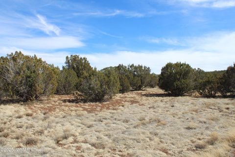 Tiny photo for Lot 092C County Road 8238, Concho, AZ 85924 (MLS # 255049)