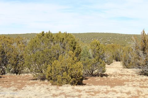 Tiny photo for Lot 092C County Road 8238, Concho, AZ 85924 (MLS # 255049)