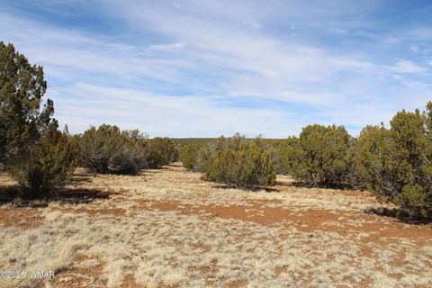 Tiny photo for Lot 092C County Road 8238, Concho, AZ 85924 (MLS # 255049)