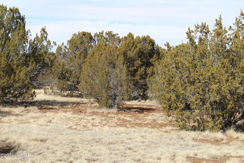 Tiny photo for Lot 092C County Road 8238, Concho, AZ 85924 (MLS # 255049)
