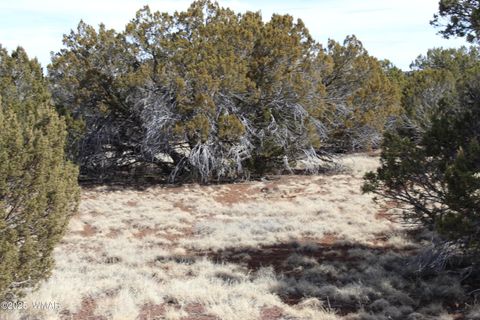 Tiny photo for Lot 092C County Road 8238, Concho, AZ 85924 (MLS # 255049)