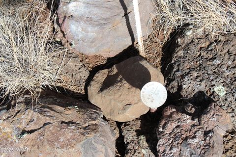 Tiny photo for Lot 092C County Road 8238, Concho, AZ 85924 (MLS # 255049)