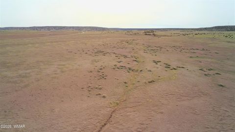 Tiny photo for 1470 E Concho Highway, Concho, AZ 85924 (MLS # 260047)