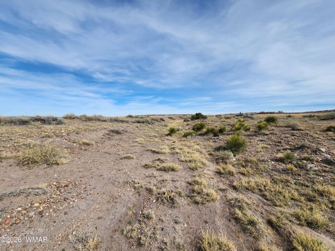Tiny photo for 1470 E Concho Highway, Concho, AZ 85924 (MLS # 260047)