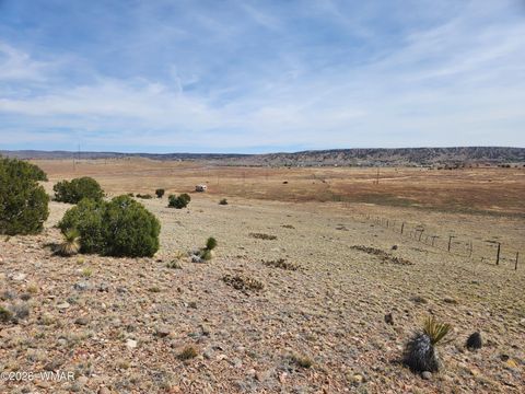 Tiny photo for 1470 E Concho Highway, Concho, AZ 85924 (MLS # 260047)